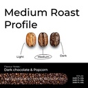Roasting Profile Infuze
